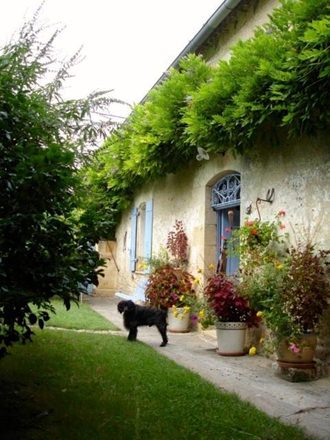La Petite Provence De Touron Bed & Breakfast Pujols  Exterior foto